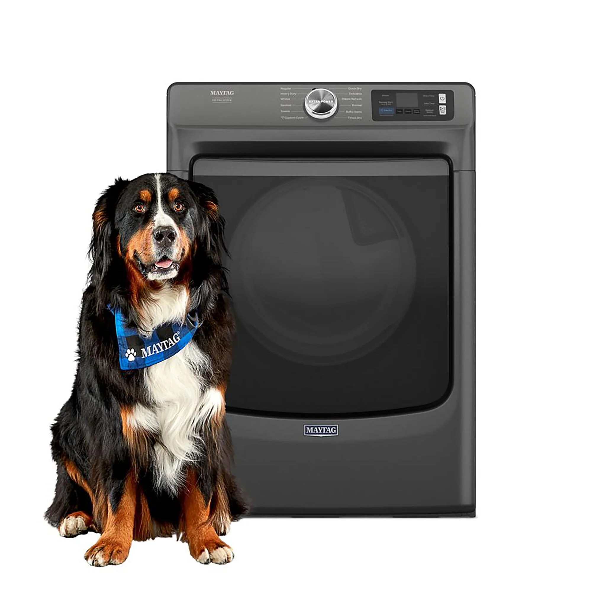 Maytag Volcano Black Gas Dryer with Pet Pro (7.4 Cu.Ft.) - MGD7020RU - Image 2