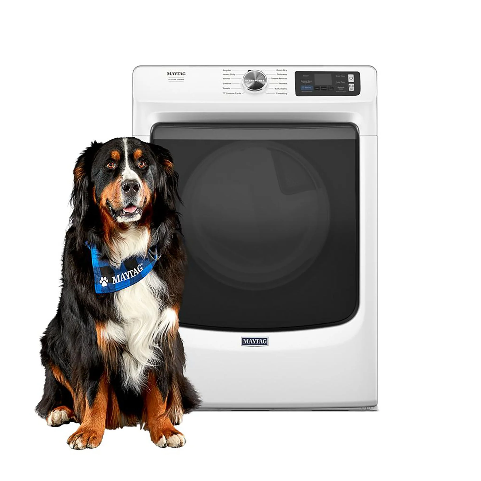 Maytag White Electric Dryer with Pet Pro (7.4 Cu.Ft.) - YMED7020RW - Image 2