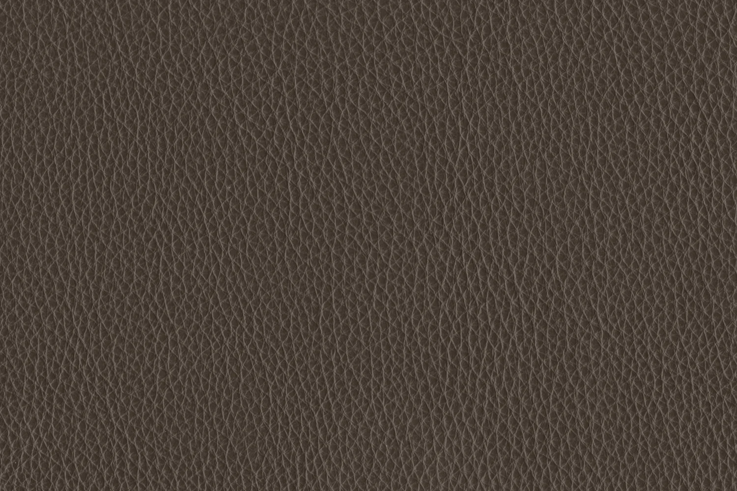Naples Chair - Moss - Image 4