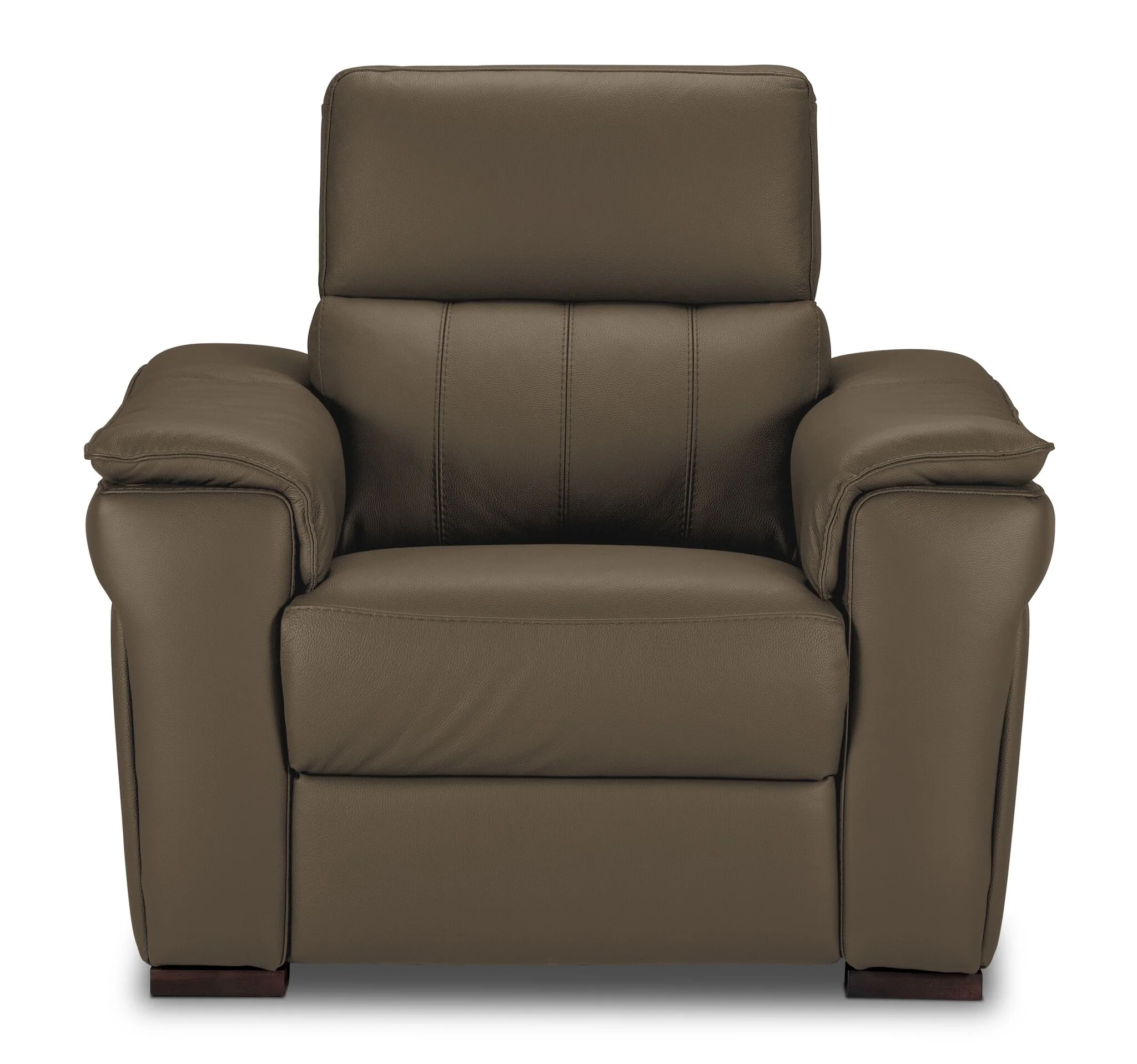 Orlando-Ray Leather Chair - Taupe - Image 2