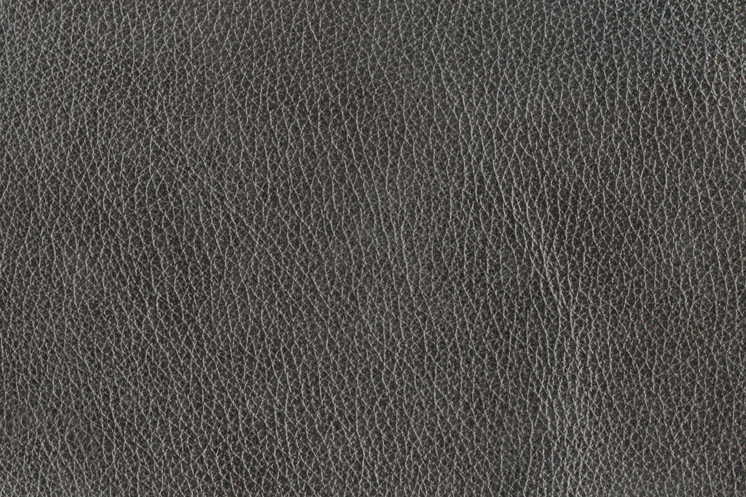 Stampede Leather Chair - Charcoal - Image 5