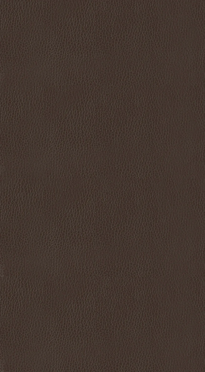 Westby Bar Stool - Brown - Set of Two - Image 3