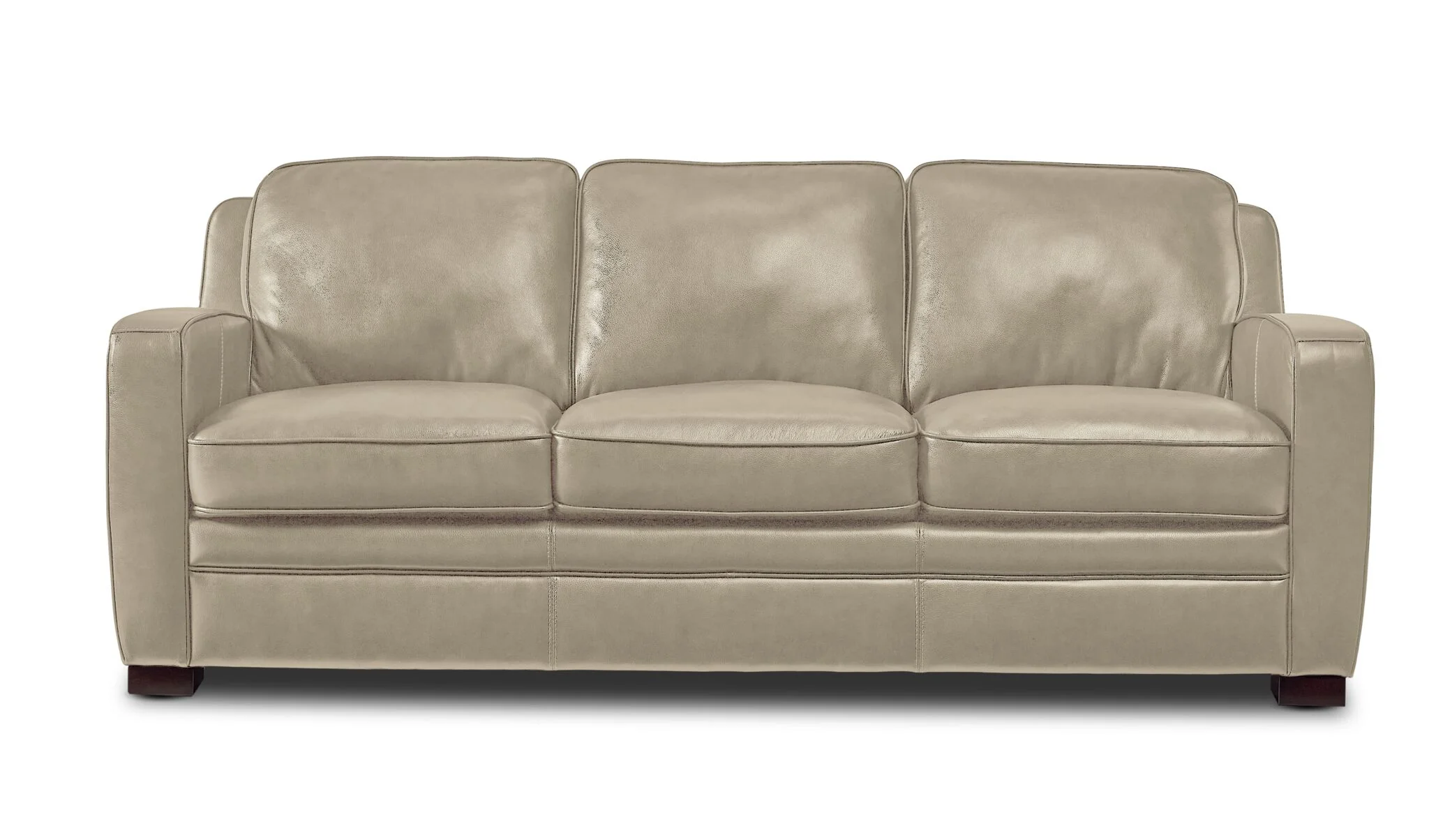 Wilmington Leather Sofa - Ivory - Image 2